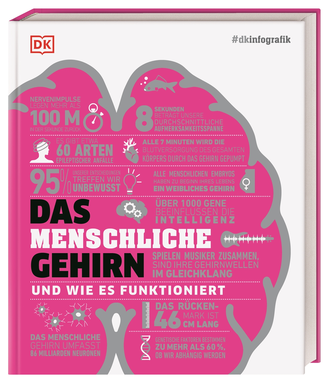 #dkinfografik. Das menschliche Gehirn und wie ...