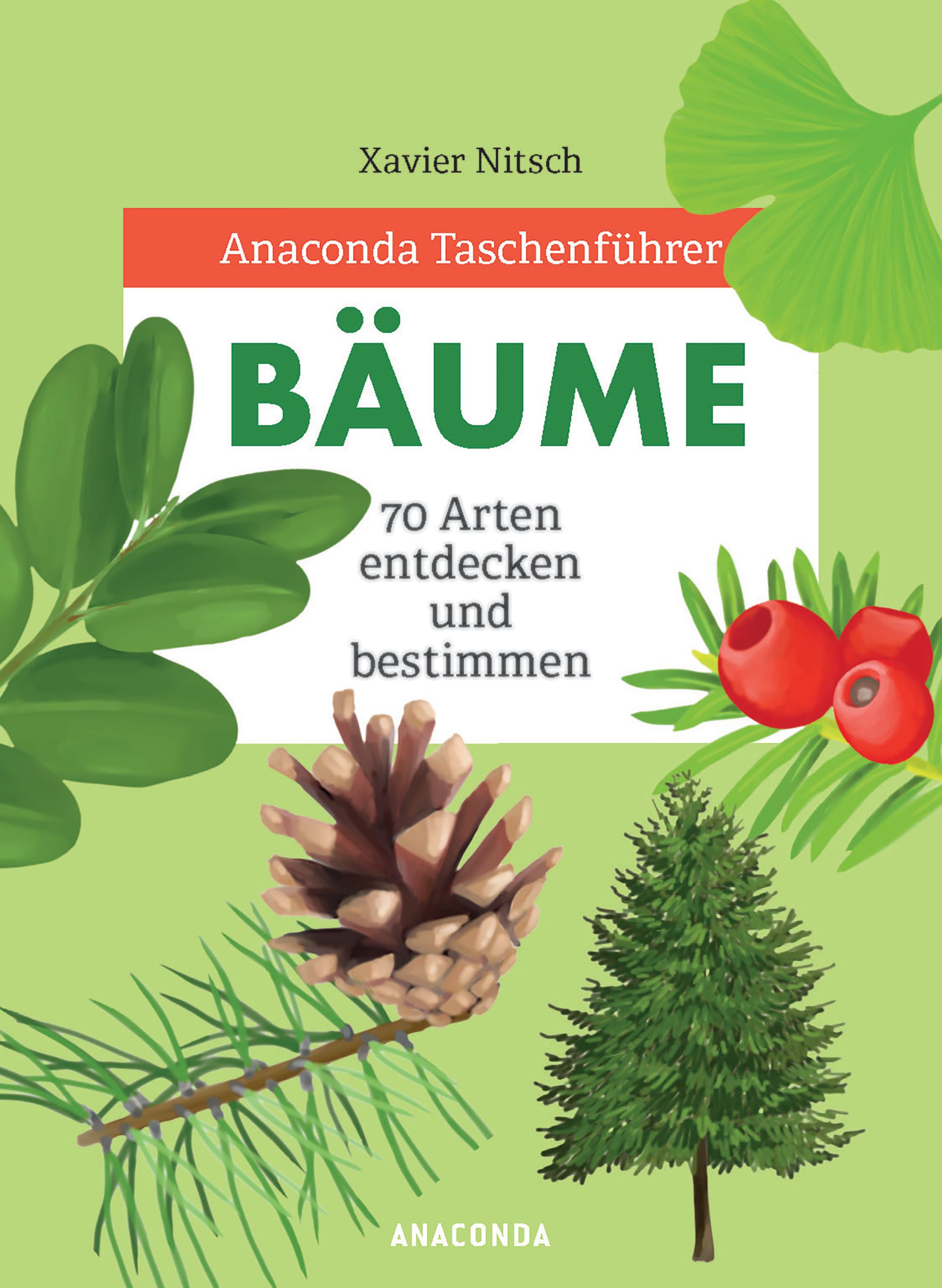 Anaconda Taschenführer Bäume. 70 Arten entdecken und bes...