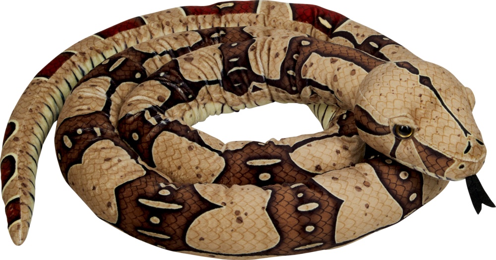 Nature Zoom Wild: Boa constrictor (3m)