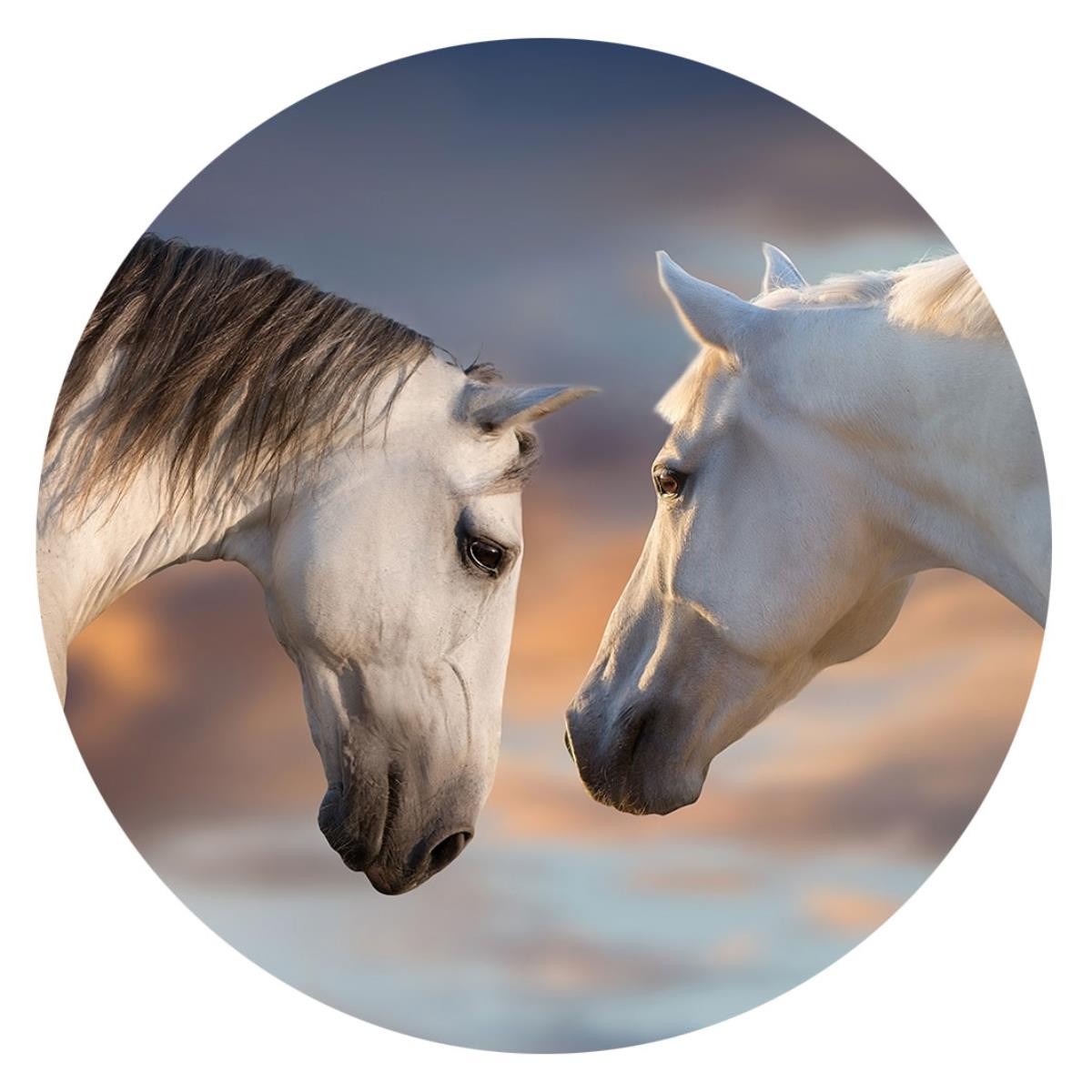 PopSockets Basic Sunset Horses