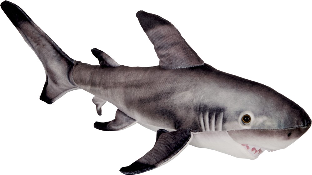 Nature Zoom Wild: Schwarzspitzen-Riffhai (55cm)