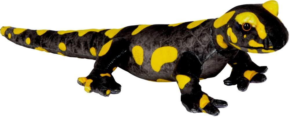 Nature Zoom Wild: Feuersalamander (Plüsch)