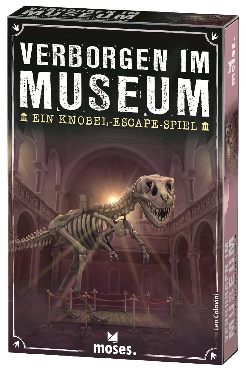 Verborgen im Museum (Ein Knobel-Escape-Spiel)