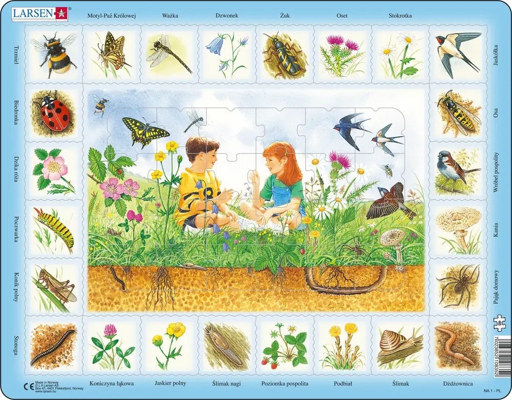 Puzzle – Laka (Field/polnisch)